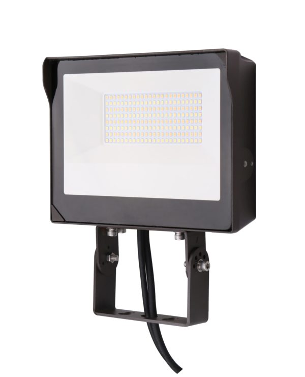 Multi-Voltage Flood Light