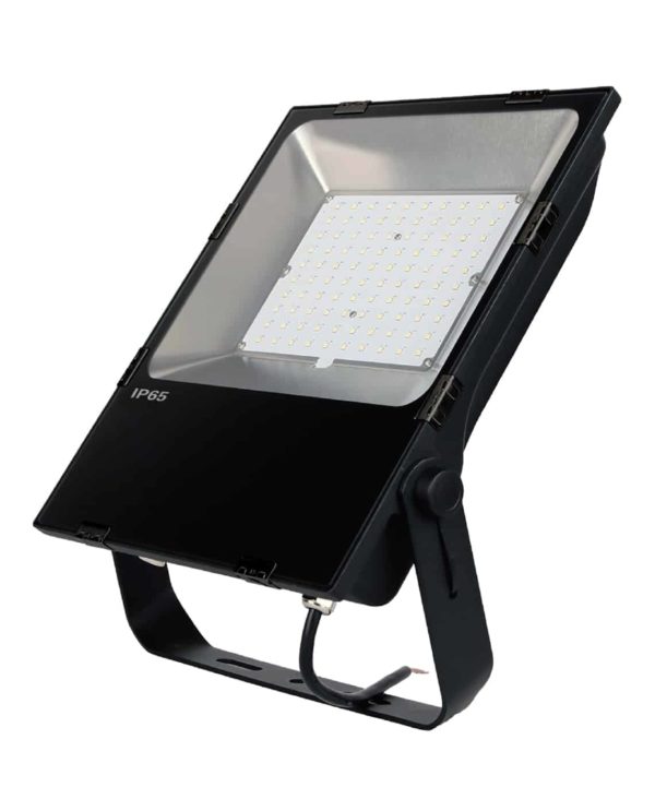 Multi-Voltage Flood Light